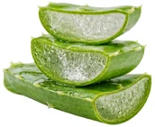 Venofort — Extracto de aloe vera